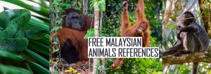 Free malaysian animals references