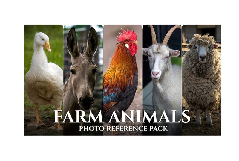 Preview of Farm Animals - Reference Photo Pack For Artists 522 JPEGs noAI