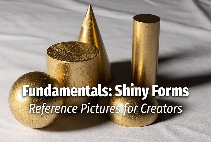 Preview of Fundamentals: Shiny Forms