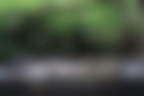 Free landscapes & environments pack: 125+ photos
