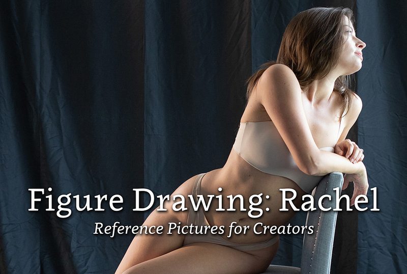 Preview of Figure Drawing: Rachel - Reference Pictures